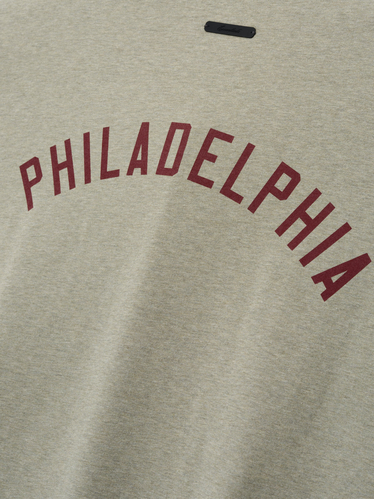 Phillies Merch Tee - Seal Heather - Image 6
